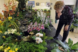 Orchid Society plans world-class orchid collection at Phipps