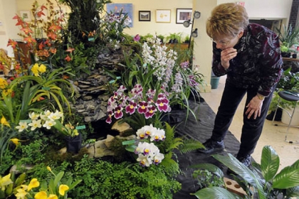 Barbara Tisherman of Squirrel Hill works on her exhibit at the Orchid Show .