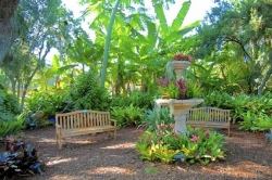 Selby Gardens in Sarasota provides a rich floral retreat and learning center