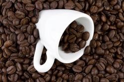 Will java now come with jolt warning?