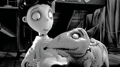 Victor brings his beloved best friend back to life in "Frankenweenie."

