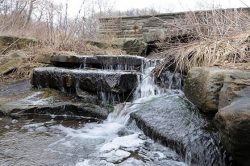Pittsburgh Parks Conservancy takes aim at Panther Hollow restoration