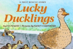 Children's Corner: 'Lucky Ducklings' and other high-class picture books for kids